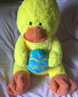 Easter Duck