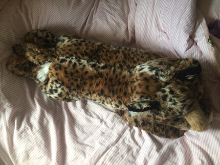 Leopard