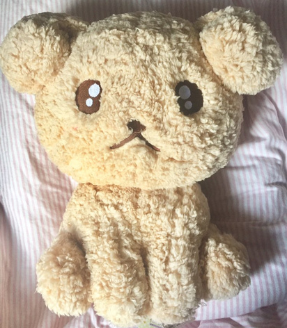 Teary Eyed Puppy Toreba